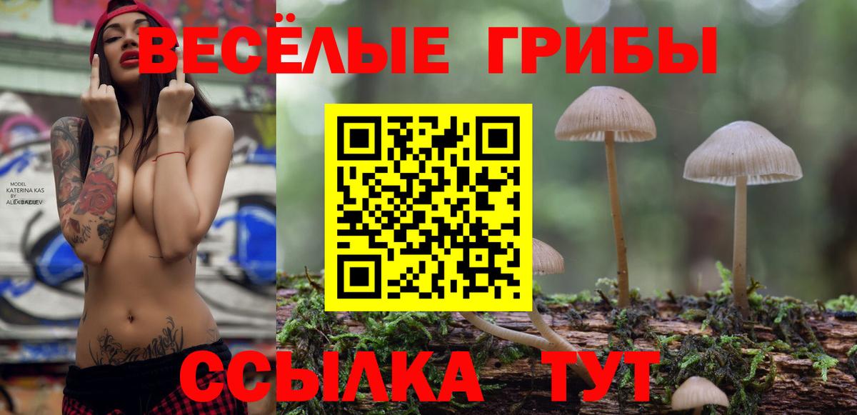 Галлюциногенные грибы Psilocybe Семилуки