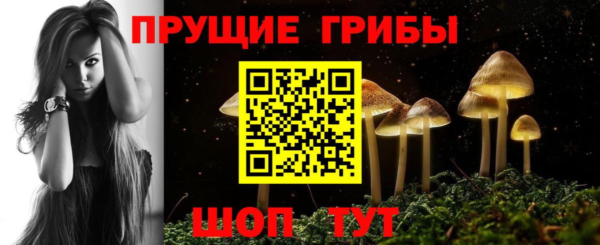 Псилоцибиновые грибы прущие грибы  купить закладку  Семилуки  Вход с VPN 